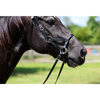 READY MADE - BLACK ENGLISH BRIDLE and REINS made from Beta Biothane