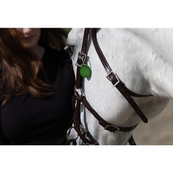 READY MADE - BLACK ENGLISH BRIDLE and REINS made from Beta Biothane