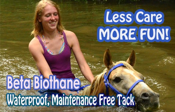 a swimming horse wears a waterproof and maintenance free beta Biothane tack