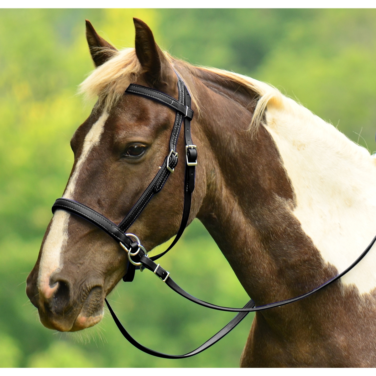 Buy 2 in 1 Bitless Bridle Made from Leather From Two Horse Tack
