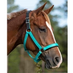 Shop by Color Teal Tack