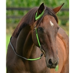 WESTERN BRIDLE (One or Two Ear Split Ear Browband) made with REFLECTIVE DAY GLO Biothane