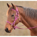 Quick Change HALTER BRIDLE with Snap on Browband made from NYLON