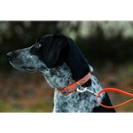 Center Ring Safety DOG COLLAR made from BETA BIOTHANE with REFLECTIVE DAY-GLO