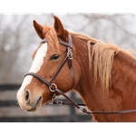 ****BETTER THAN  LEATHER ****2-in-1 Bitless Bridle made from BETA BIOTHANE