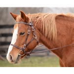 ****BETTER THAN  LEATHER ****Quick Change Halter Bridle made from BETA BIOTHANE