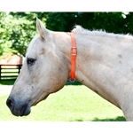 Get Grooming Neck Collar for Horses only at Two Horse Tack