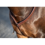 WESTERN BREAST COLLAR made from BETA BIOTHANE (Solid Colored)