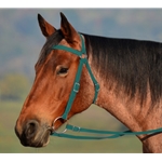 HUNTER GREEN AUSTRALIAN BARCOO OUTRIDER AUSSIE BRIDLE made from BETA BIOTHANE