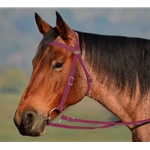 WINE Colored AUSTRALIAN BARCOO OUTRIDER AUSSIE BRIDLE made from BETA BIOTHANE