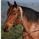black BLING Quick Change Halter Bridle with Snap on Browband