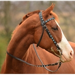 WESTERN BRIDLE (Full Browband) made from BETA BIOTHANE (With BLING)