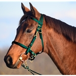 HUNTER GREEN Traditional HALTER BRIDLE with BIT HANGERS made from BETA BIOTHANE