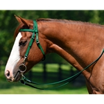WESTERN TRAINING BRIDLE with Quick Change Snaps made from Beta Biothane (Solid Colored)