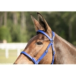 MULE BRIDLE made from BETA BIOTHANE