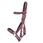 PADDED Traditional HALTER BRIDLE with BIT HANGERS made from BETA BIOTHANE with Black NEOPRENE PADDING