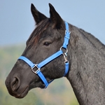 LIGHT BLUE HALTER & LEAD made from BETA BIOTHANE (Solid Colored)