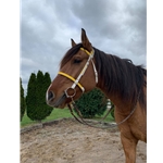 PADDED English CONVERT A BRIDLE made from BETA BIOTHANE with NEOPRENE padding