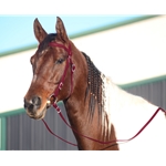 WINE WESTERN BRIDLE (Full Browband) made from BETA BIOTHANE
