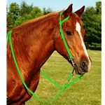 LIME GREEN WESTERN BRIDLE (One Ear or Two Ear Split Ear Browband) made from BETA BIOTHANE