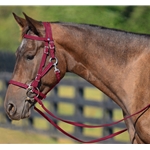 WINE Quick Change HALTER BRIDLE with Snap on Browband made from BETA BIOTHANE