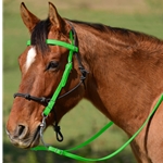 LIME GREEN Snap on Browband WESTERN BRIDLE made from BETA BIOTHANE