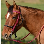 WINE Snap on Browband WESTERN BRIDLE made from BETA BIOTHANE