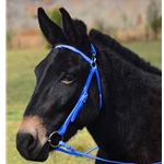 LIGHT BLUE MULE BRIDLE made from BETA BIOTHANE