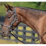 COB SIZE Quick Change Halter Bridle made from BETA BIOTHANE