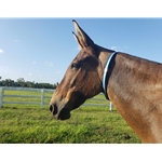 Buy Turnout Neck Collar with Leather Breakaway for Horses - Two Horse Tack