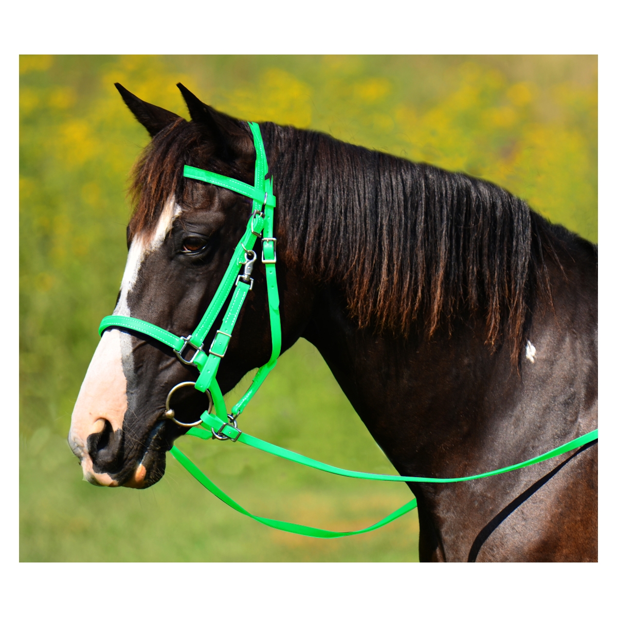 bit halter werbegeschenk bit halter werbegeschenk