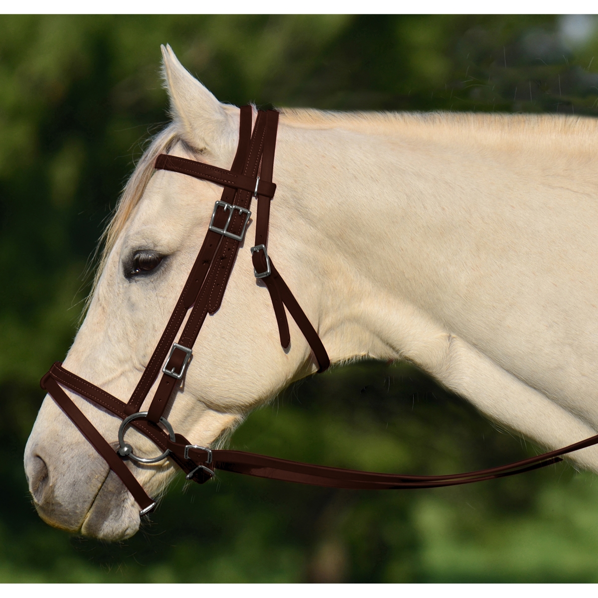 Brown English Horse Bridles with Cavesson Two Horse Tack