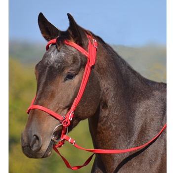 Icelandic BRIDLE with reins Beta Biothane - Solid Colored
