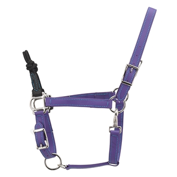 Get Colored Thread Rope Combo Halter From Two Horse Tack