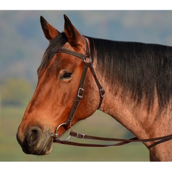 Brown AUSTRALIAN BARCOO OUTRIDER AUSSIE BRIDLE made from BETA BIOTHANE