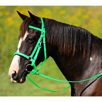 LIME GREEN Traditional HALTER BRIDLE with BIT HANGERS made from BETA BIOTHANE 