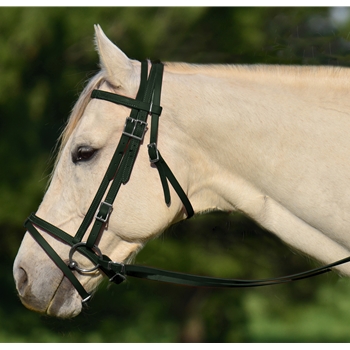 HUNTER GREEN ENGLISH BRIDLE with CAVESSON made from BETA BIOTHANE 