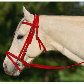 RED ENGLISH BRIDLE with CAVESSON made from BETA BIOTHANE 