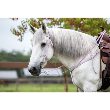 Save Money and Order a Bridle and Breast collar Tack Set - Two Horse Tack