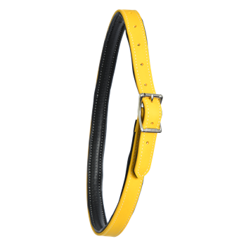 Get Neck Collar for Horse Made from Beta Biothane at Two Horse Tack