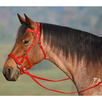 RED SIDEPULL Bitless Bridle made from BETA BIOTHANE 