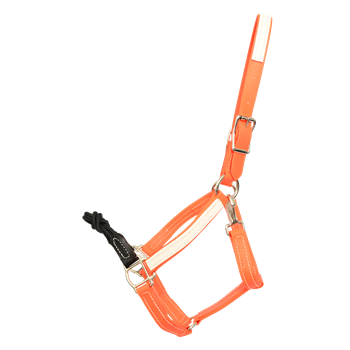 ROPE COMBO HALTER made from BETA BIOTHANE (Solid Colored)