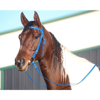 LIGHT BLUE WESTERN BRIDLE (Full Browband) made from BETA BIOTHANE 