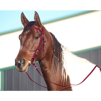 WINE WESTERN BRIDLE (Full Browband) made from BETA BIOTHANE 