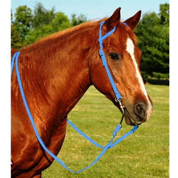 LIGHT BLUE WESTERN BRIDLE (One Ear or Two Ear Split Ear Browband) made from BETA BIOTHANE 