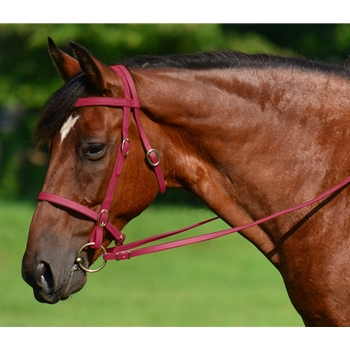 WINE ENGLISH CONVERT-A-BRIDLE made from BETA BIOTHANE 