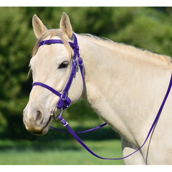 PURPLE PICNIC BRIDLE or SIMPLE HALTER BRIDLE made from Beta Biothane