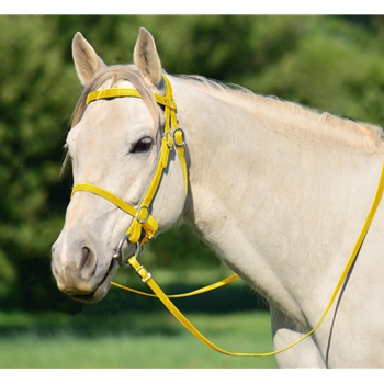YELLOW PICNIC BRIDLE or SIMPLE HALTER BRIDLE made from Beta Biothane