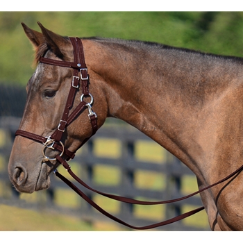 BROWN Quick Change HALTER BRIDLE with Snap on Browband made from BETA BIOTHANE 