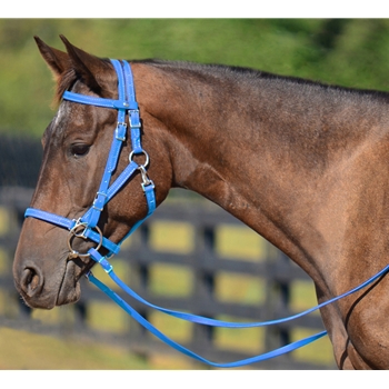 LIGHT BLUE Quick Change HALTER BRIDLE with Snap on Browband made from BETA BIOTHANE 